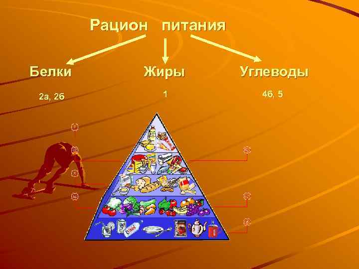 Рацион питания Белки Жиры Углеводы 2 а, 2 б 1 4 б, 5 