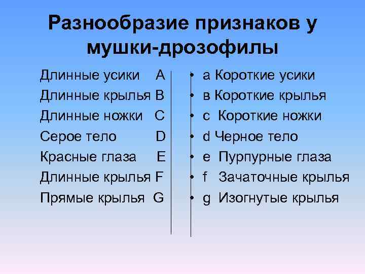 Разнообразие признаков у мушки-дрозофилы Длинные усики А Длинные крылья В Длинные ножки С Серое