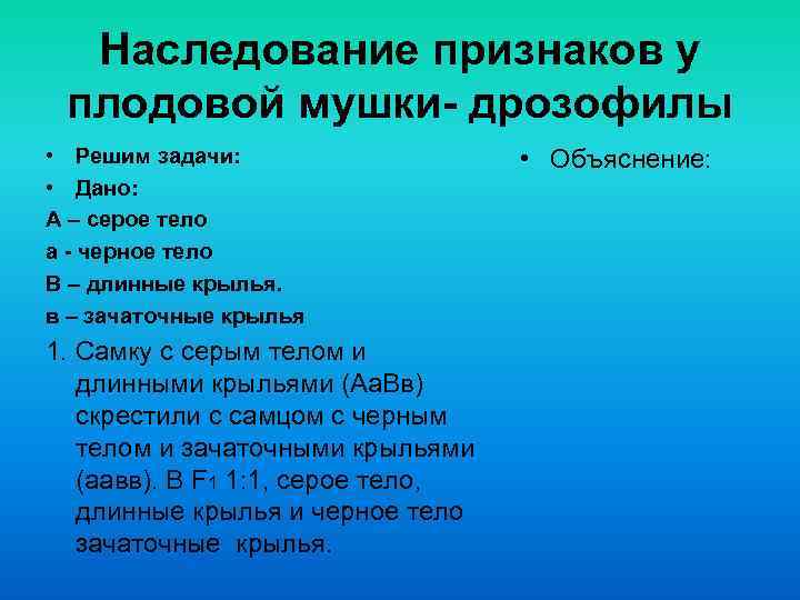 Наследование признаков у плодовой мушки- дрозофилы • Решим задачи: • Дано: А – серое