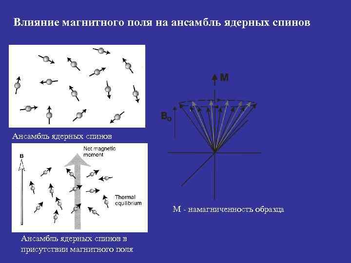 Влияние магнитного поля на ансамбль ядерных спинов Ансамбль ядерных спинов М - намагниченность образца
