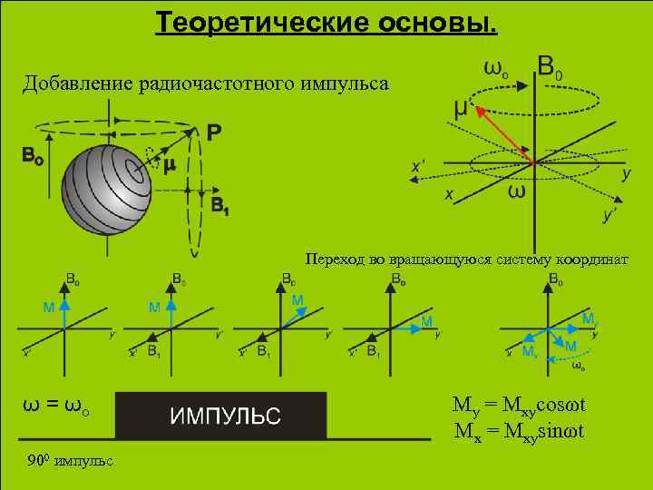 Теоретические основы. Добавление радиочастотного импульса Переход во вращающуюся систему координат ω = ωo 900