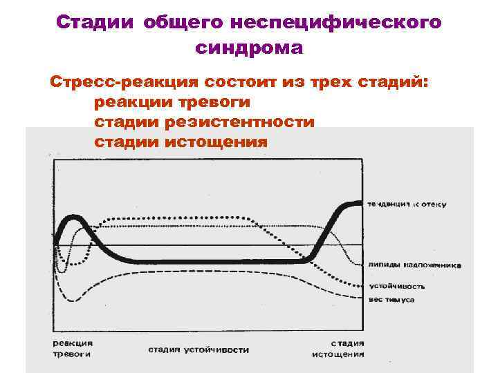 Стадии общего неспецифического синдрома Стресс-реакция состоит из трех стадий: реакции тревоги стадии резистентности стадии