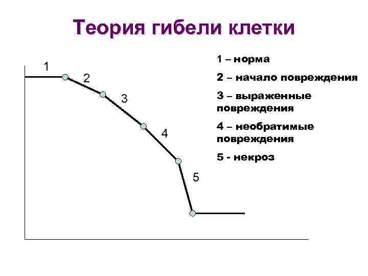 Теория гибели клетки 1 1 – норма 2 – начало повреждения 2 3 –