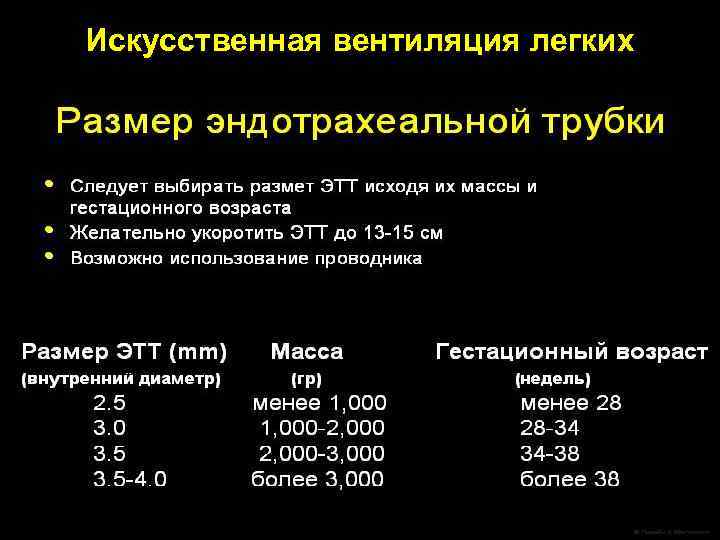 Искусственная вентиляция легких 