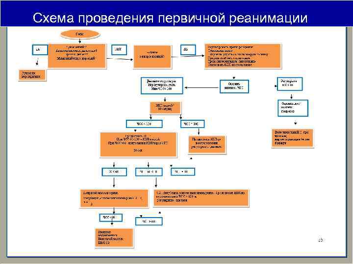 Схема проведения первичной реанимации 