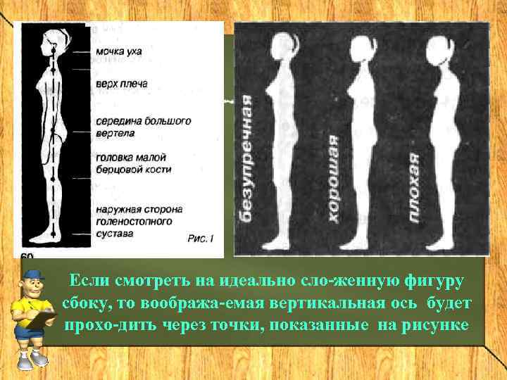  Если смотреть на идеально сло женную фигуру сбоку, то вообража емая вертикальная ось