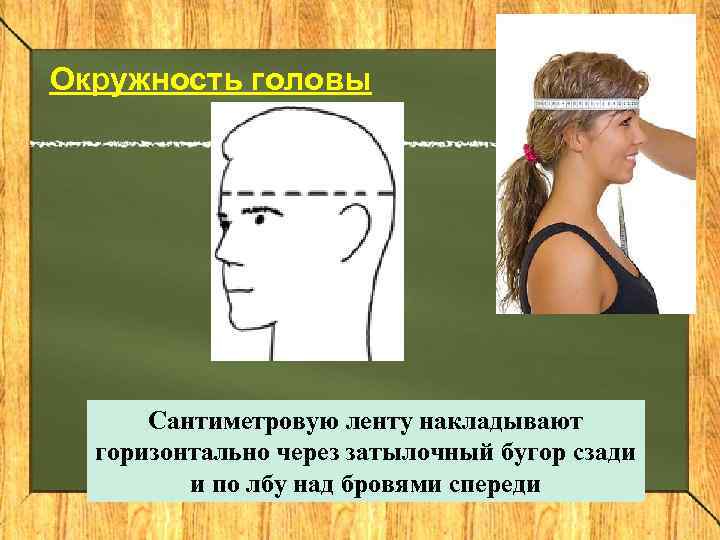 Окружность головы  Сантиметровую ленту накладывают  горизонтально через затылочный бугор сзади  