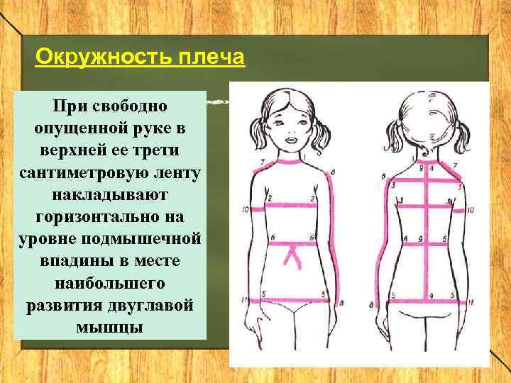  Окружность плеча При свободно  опущенной руке в  верхней ее трети сантиметровую