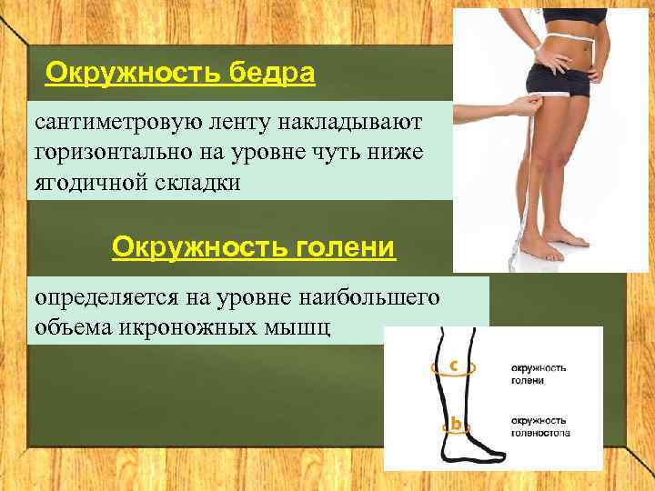 Окружность бедра сантиметровую ленту накладывают горизонтально на уровне чуть ниже ягодичной складки  Окружность