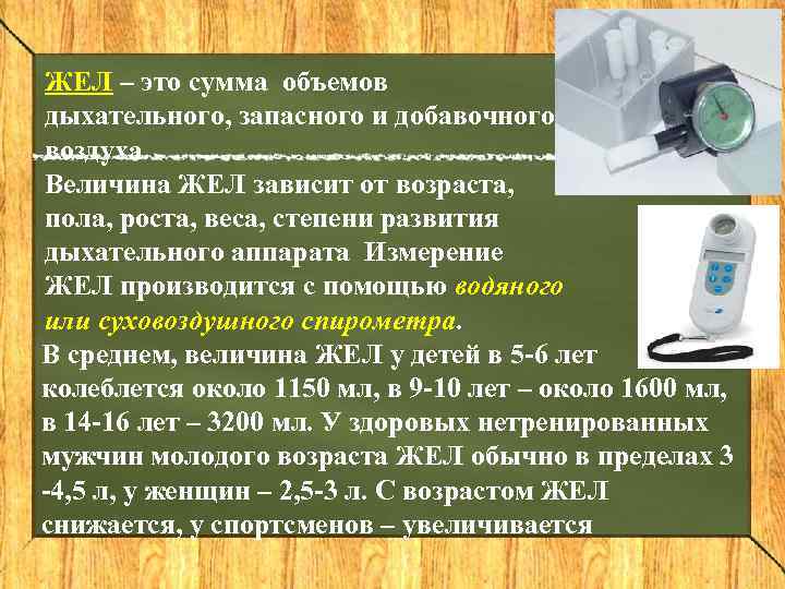 ЖЕЛ – это сумма объемов дыхательного, запасного и добавочного воздуха. Величина ЖЕЛ зависит от