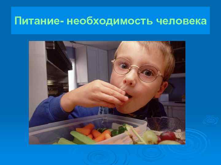 Питание- необходимость человека 