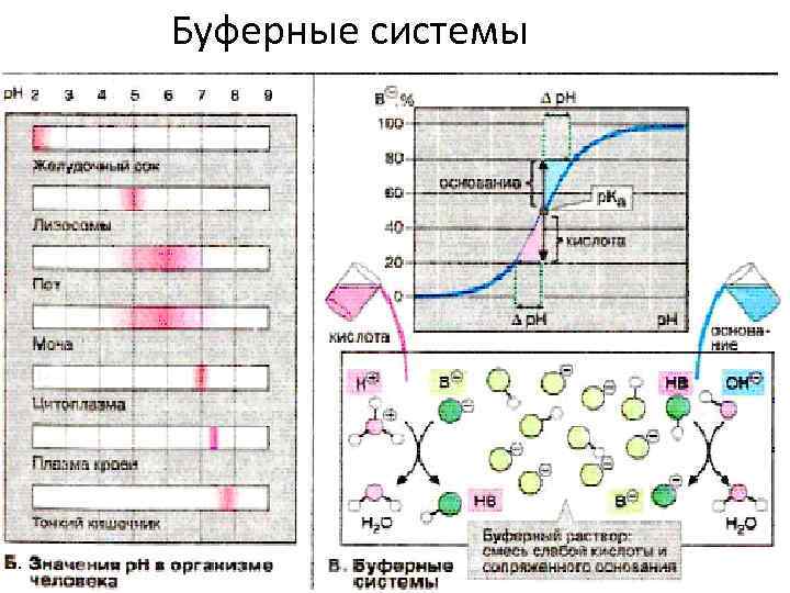 Буферные системы 2/1/2018 37 