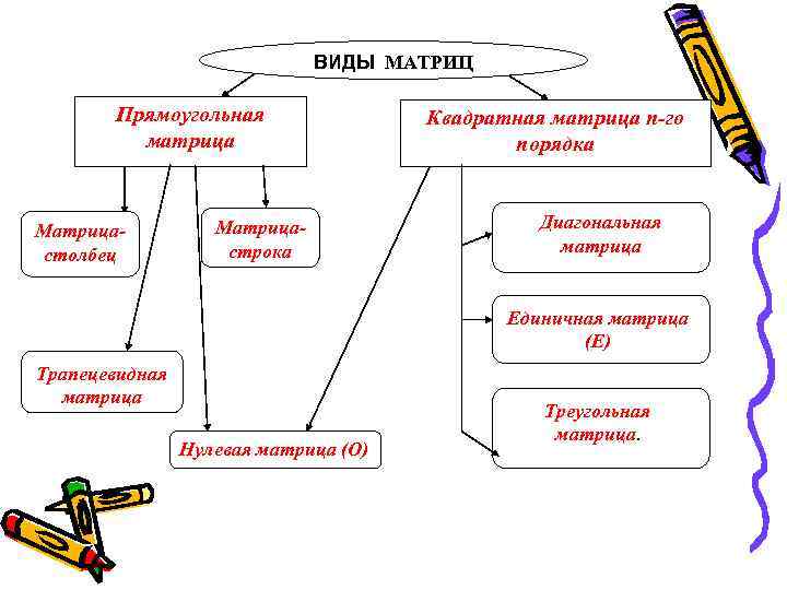 ВИДЫ МАТРИЦ Прямоугольная матрица Матрицастолбец Матрицастрока Квадратная матрица n-го порядка Диагональная матрица Единичная матрица