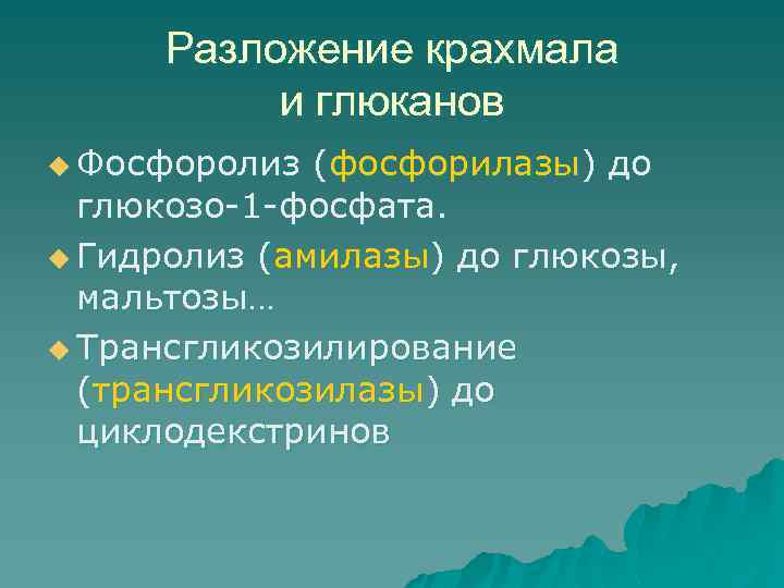 Разложение крахмала и глюканов u Фосфоролиз (фосфорилазы) до глюкозо-1 -фосфата. u Гидролиз (амилазы) до