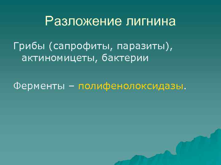 Разложение лигнина Грибы (сапрофиты, паразиты), актиномицеты, бактерии Ферменты – полифенолоксидазы. 