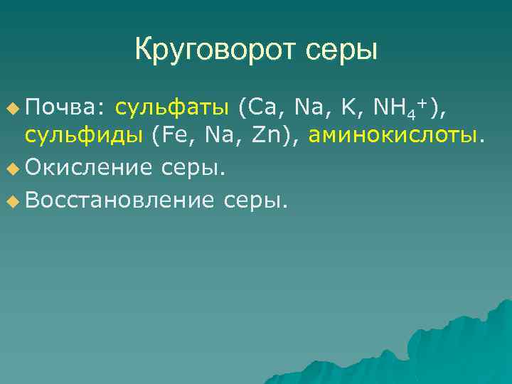 Круговорот серы u Почва: сульфаты (Ca, Na, K, NH 4+), сульфиды (Fe, Na, Zn),