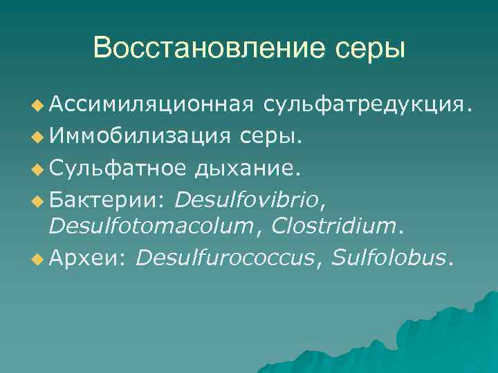 Восстановление серы u Ассимиляционная сульфатредукция. u Иммобилизация серы. u Сульфатное дыхание. u Бактерии: Desulfovibrio,