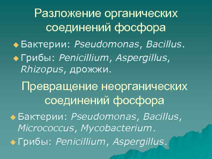 Разложение органических соединений фосфора u Бактерии: Pseudomonas, Bacillus. u Грибы: Penicillium, Aspergillus, Rhizopus, дрожжи.