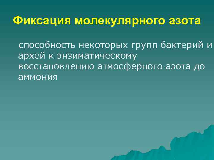 Фиксация молекулярного азота способность некоторых групп бактерий и архей к энзиматическому восстановлению атмосферного азота