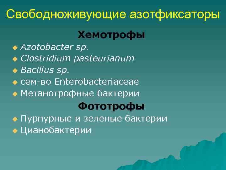 Свободноживующие азотфиксаторы Хемотрофы Azotobacter sp. u Clostridium pasteurianum u Bacillus sp. u сем-во Enterobacteriaceae