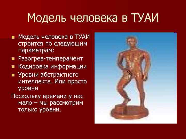 Модель человека в ТУАИ строится по следующим параметрам: n Разогрев-темперамент n Кодировка информации n