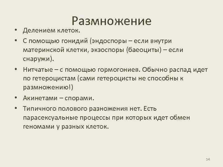 Размножение • Делением клеток. • С помощью гонидий (эндоспоры – если внутри материнской клетки,