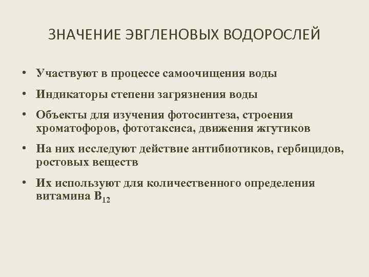 ЗНАЧЕНИЕ ЭВГЛЕНОВЫХ ВОДОРОСЛЕЙ • Участвуют в процессе самоочищения воды • Индикаторы степени загрязнения воды