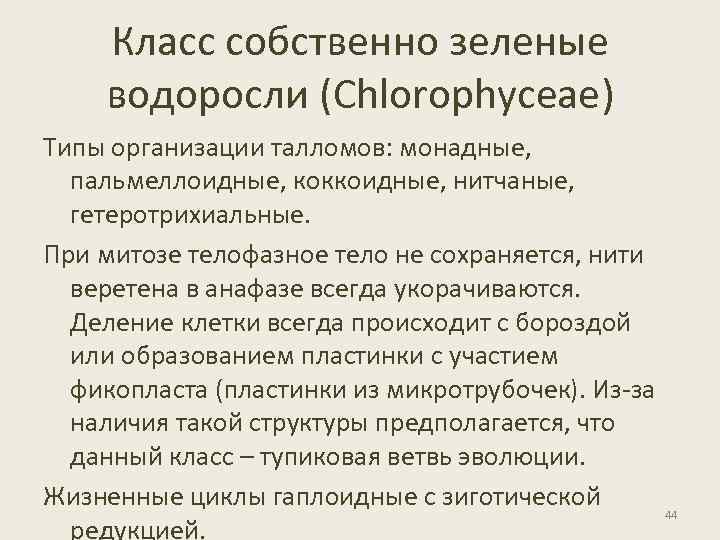 Класс собственно зеленые водоросли (Chlorophyceae) Типы организации талломов: монадные, пальмеллоидные, коккоидные, нитчаные, гетеротрихиальные. При