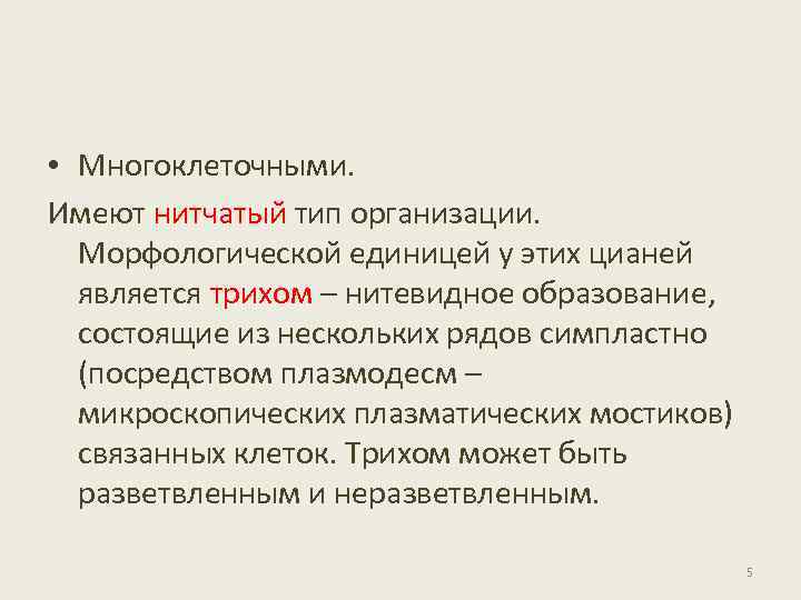  • Многоклеточными. Имеют нитчатый тип организации. Морфологической единицей у этих цианей является трихом