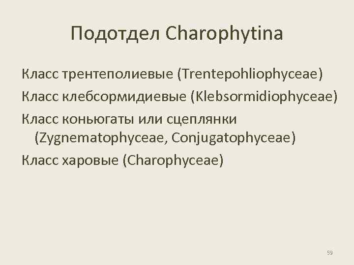 Подотдел Charophytina Класс трентеполиевые (Trentepohliophyceae) Класс клебсормидиевые (Klebsormidiophyceae) Класс коньюгаты или сцеплянки (Zygnematophyceae, Conjugatophyceae)