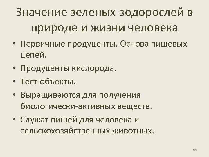 Значение зеленых водорослей в природе и жизни человека • Первичные продуценты. Основа пищевых цепей.