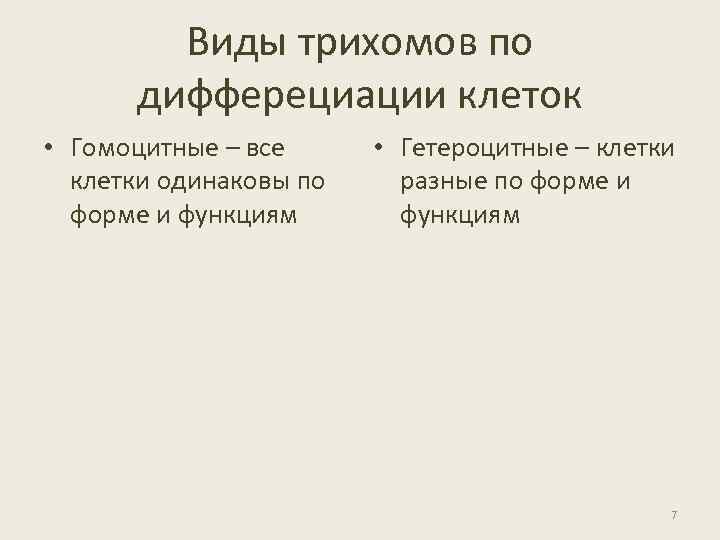 Виды трихомов по дифферециации клеток • Гомоцитные – все клетки одинаковы по форме и