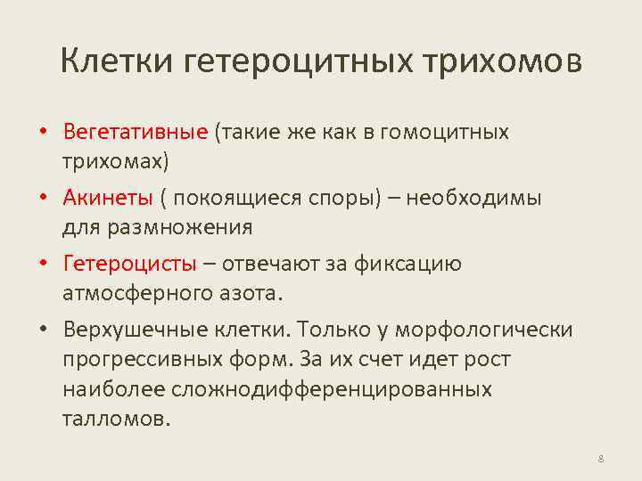 Клетки гетероцитных трихомов • Вегетативные (такие же как в гомоцитных трихомах) • Акинеты (