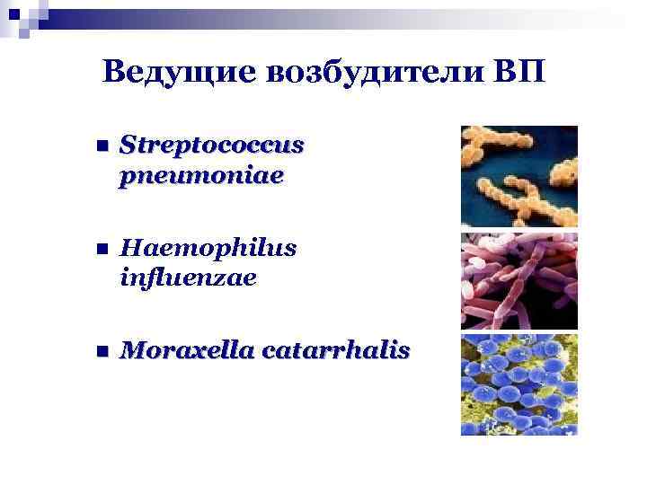 Ведущие возбудители ВП n Streptococcus pneumoniae n Haemophilus influenzae n Moraxella catarrhalis 