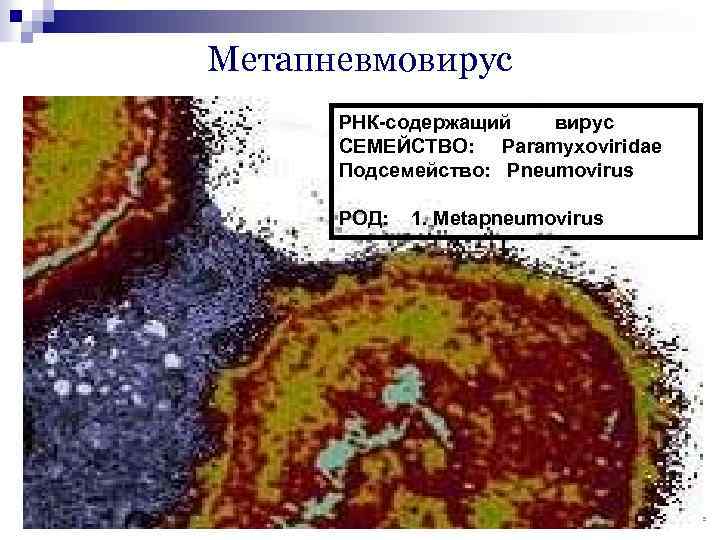 Карта смп пневмония внебольничная