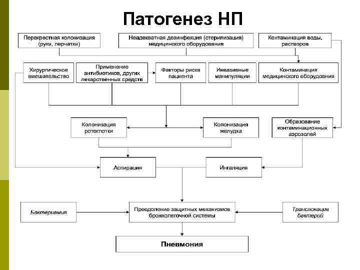 Патогенез пневмонии схема