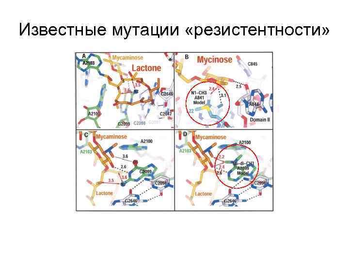 Известные мутации «резистентности» 