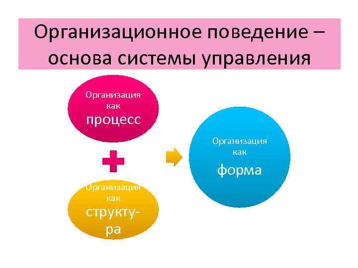 Стили организационного поведения