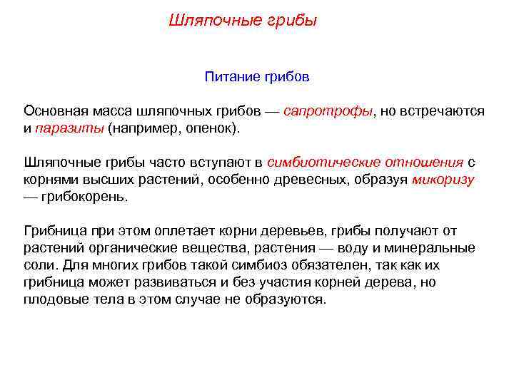 Шляпочные грибы Питание грибов Основная масса шляпочных грибов — сапротрофы, но встречаются и паразиты