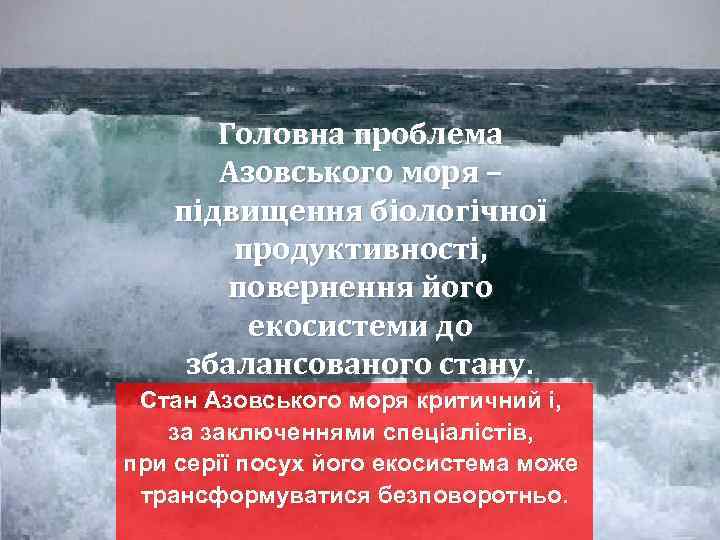 Головна проблема Азовського моря – підвищення біологічної продуктивності, повернення його екосистеми до збалансованого стану.
