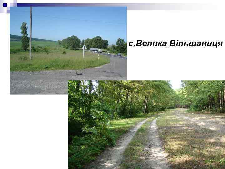 с. Велика Вільшаниця 