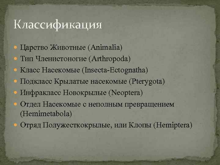 Классификация Царство Животные (Animalia) Тип Членистоногие (Arthropoda) Класс Насекомые (Insecta-Ectognatha) Подкласс Крылатые насекомые (Pterygota)