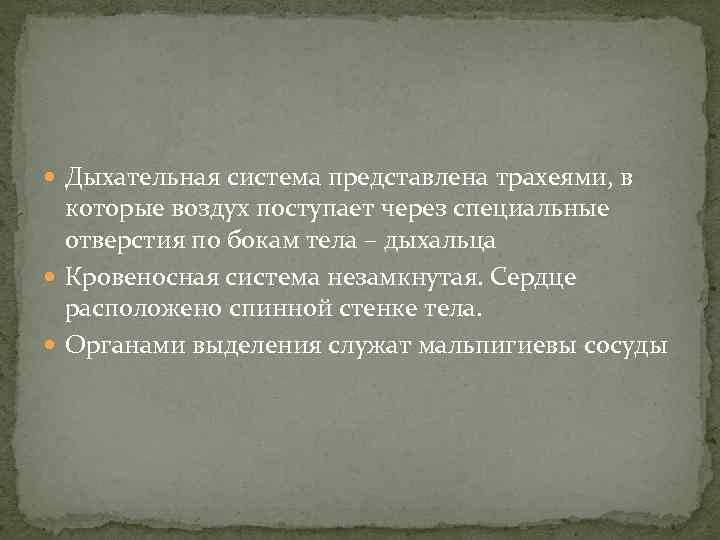 Дыхательная система представлена трахеями, в которые воздух поступает через специальные отверстия по бокам
