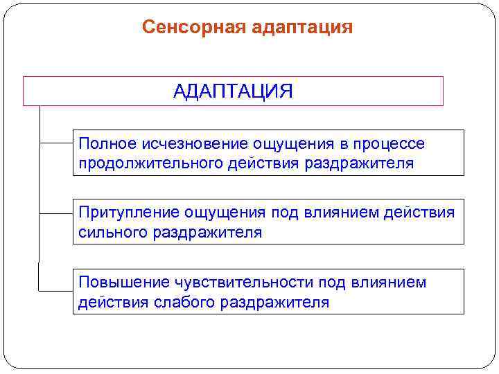  Сенсорная адаптация АДАПТАЦИЯ Полное исчезновение ощущения в процессе продолжительного действия раздражителя Притупление ощущения