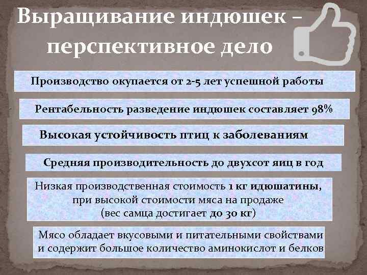 Выращивание индюшек – перспективное дело Производство окупается от 2 -5 лет успешной работы Рентабельность