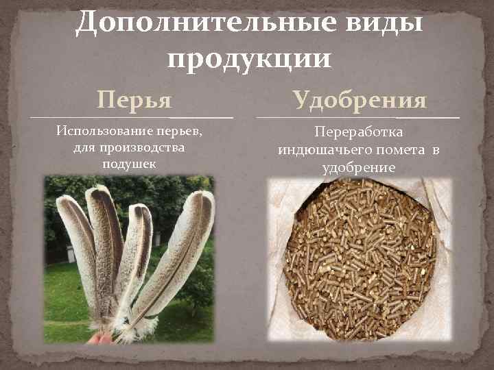 Дополнительные виды продукции Перья Использование перьев, для производства подушек Удобрения Переработка индюшачьего помета в