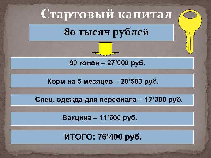 Стартовый капитал 80 тысяч рублей 90 голов – 27’ 000 руб. Корм на 5