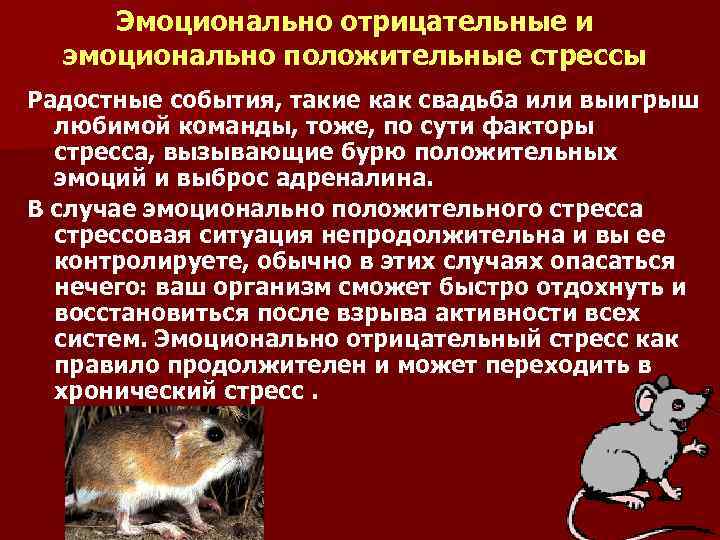 Эмоционально отрицательные и эмоционально положительные стрессы Радостные события, такие как свадьба или выигрыш любимой