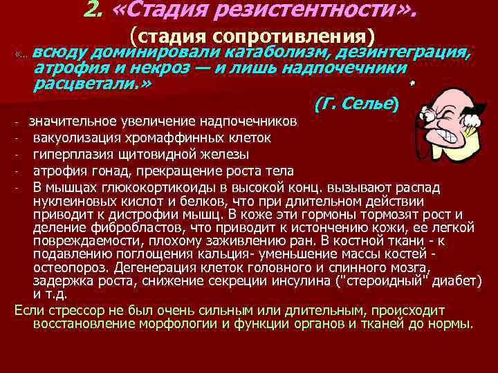 2. «Стадия резистентности» . «… (стадия сопротивления) всюду доминировали катаболизм, дезинтеграция, атрофия и некроз