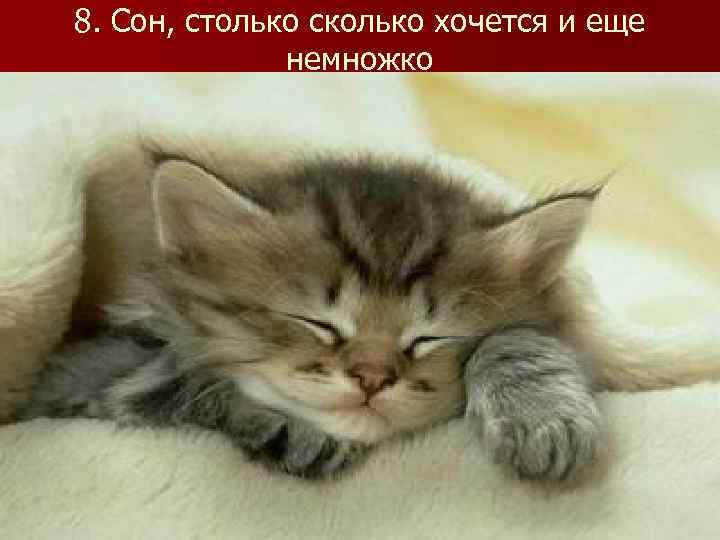 8. Сон, столько сколько хочется и еще немножко 